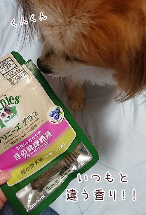 わんこ え 今の歯磨きだったの 動画であげかた解説 グリニーズ Charm Blog