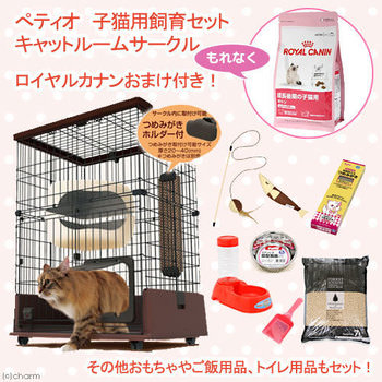 新登場！！猫さん用飼育セット♪ u2013 Charm Blog