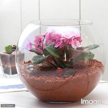 ガラス容器に広がるミニジオラマ！長期間、花を楽しめます！ – Charm Blog