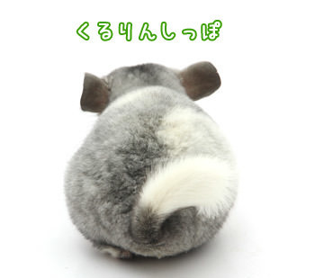 チンチラのしっぽ♪ 砂浴び用品紹介♪ – Charm Blog